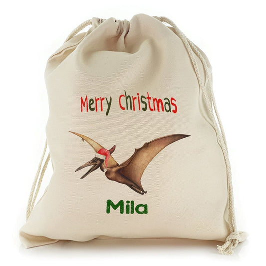 Flying Santa Hat Dinosaur Christmas Sack, Christmas Bag Gift, Christmas Tree Decoration Ideas, Christmas Gift 2023