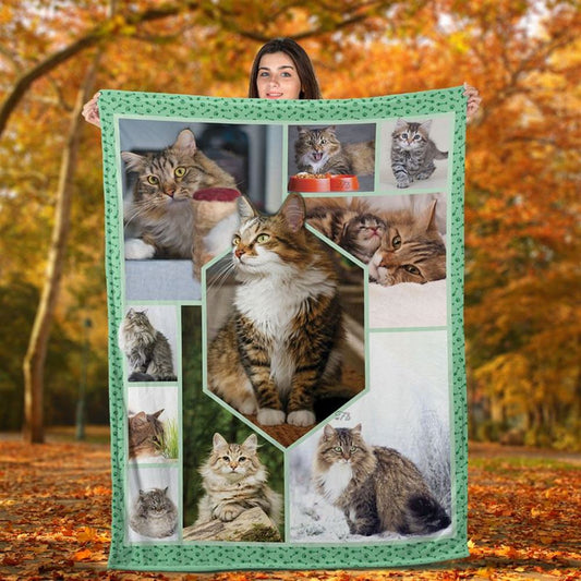 Siberian Cat  Blanket Just A Girl Who Love Cat Gift For Cat Lover Valentine Gift, Valentine Blanket
