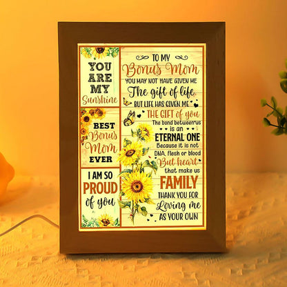 You May Not Have Give Me The Gift Of Life Frame Lamp, Mother's Day Frame Lamp, Led Lamp For Mom, Mother's Day Gift