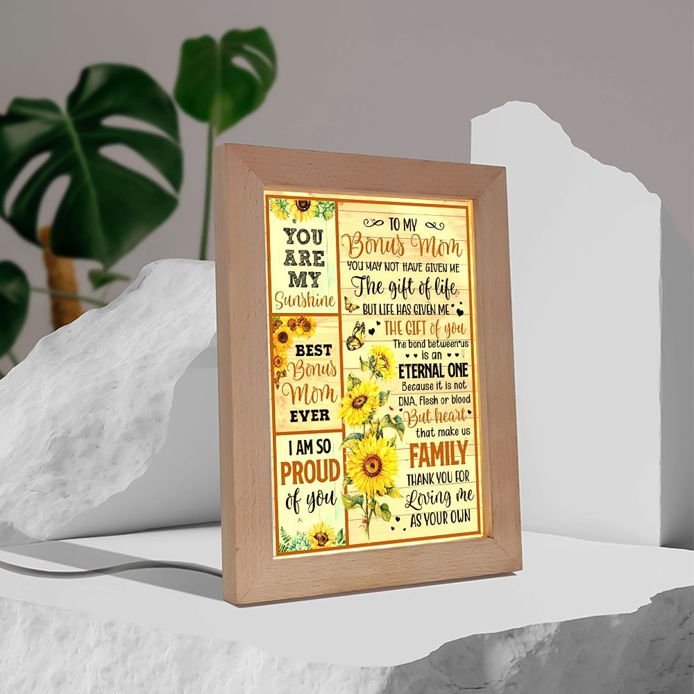You May Not Have Give Me The Gift Of Life Frame Lamp, Mother's Day Frame Lamp, Led Lamp For Mom, Mother's Day Gift