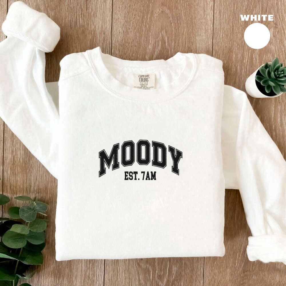 Embroidered Custom Sweatshirts, Embroidered Moody Sweatshirt, 2D Crewneck Sweatshirt For Women And Women, Christmas Gift