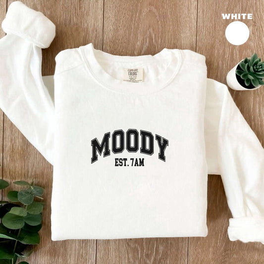 Embroidered Custom Sweatshirts, Embroidered Moody Sweatshirt, 2D Crewneck Sweatshirt For Women And Women, Christmas Gift