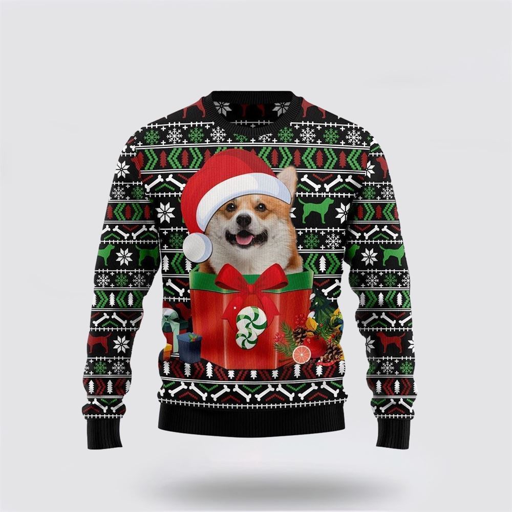 Funny Dog In The Gift Box Ugly Christmas Sweater, Christmas Gift For Dog Love, Christmas Fashion Winter